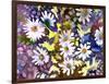 White Daisies-Neela Pushparaj-Framed Giclee Print