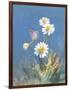 White Daisies-Danhui Nai-Framed Art Print