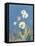 White Daisies-Danhui Nai-Framed Stretched Canvas