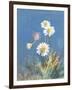 White Daisies-Danhui Nai-Framed Art Print