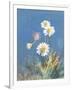 White Daisies-Danhui Nai-Framed Art Print