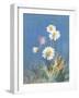 White Daisies-Danhui Nai-Framed Art Print
