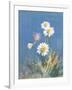 White Daisies-Danhui Nai-Framed Art Print