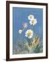 White Daisies-Danhui Nai-Framed Art Print