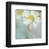 White Daisy I-Judy Stalus-Framed Art Print