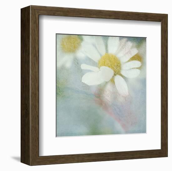 White Daisy I-Judy Stalus-Framed Art Print