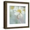 White Daisy I-Judy Stalus-Framed Art Print