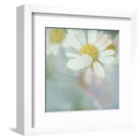 White Daisy I-Judy Stalus-Framed Art Print