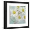 White Daisy II-Judy Stalus-Framed Art Print