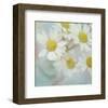 White Daisy II-Judy Stalus-Framed Art Print