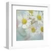 White Daisy II-Judy Stalus-Framed Art Print