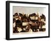 White, Dark and Milk Chocolate Pieces-Tom Eckerle-Framed Photographic Print