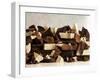 White, Dark and Milk Chocolate Pieces-Tom Eckerle-Framed Photographic Print