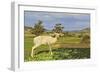 White Deer-Incredi-Framed Giclee Print