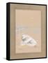 White Dinghy-Paul Brent-Framed Stretched Canvas