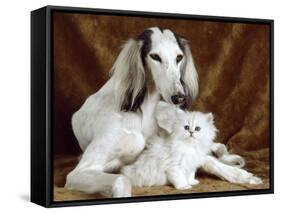 White Dog and Cat-null-Framed Stretched Canvas