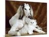 White Dog and Cat-null-Mounted Photographic Print