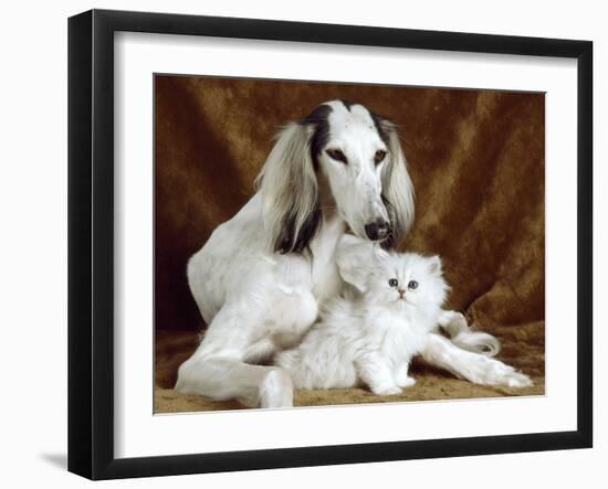 White Dog and Cat-null-Framed Photographic Print