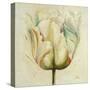 White Double Tulips I-Patricia Pinto-Stretched Canvas
