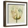 White Double Tulips I-Patricia Pinto-Framed Art Print