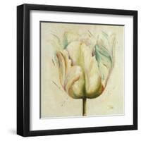 White Double Tulips I-Patricia Pinto-Framed Art Print