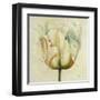 White Double Tulips I-Patricia Pinto-Framed Art Print