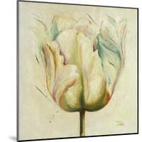 White Double Tulips I-Patricia Pinto-Mounted Art Print