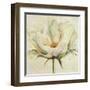 White Double Tulips II-Patricia Pinto-Framed Art Print