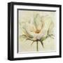 White Double Tulips II-Patricia Pinto-Framed Art Print