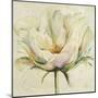 White Double Tulips II-Patricia Pinto-Mounted Art Print