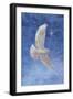 White Dove-Christo Monti-Framed Giclee Print