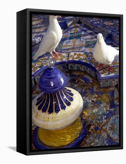 White Doves in Plaza Tiled Fountain, Sevilla, Spain-John & Lisa Merrill-Framed Stretched Canvas