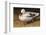 White Duck-Chris Vest-Framed Art Print