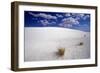 White Dune, Blue Sky, White Sands, New Mexico-George Oze-Framed Photographic Print