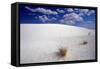 White Dune, Blue Sky, White Sands, New Mexico-George Oze-Framed Stretched Canvas