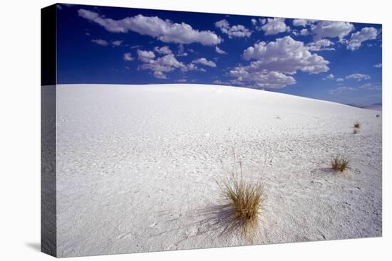 White Dune, Blue Sky, White Sands, New Mexico-George Oze-Stretched Canvas