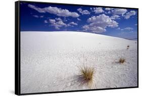 White Dune, Blue Sky, White Sands, New Mexico-George Oze-Framed Stretched Canvas