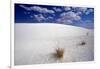 White Dune, Blue Sky, White Sands, New Mexico-George Oze-Framed Photographic Print