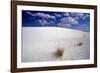 White Dune, Blue Sky, White Sands, New Mexico-George Oze-Framed Photographic Print