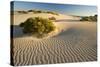 White Dunes-null-Stretched Canvas