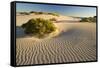 White Dunes-null-Framed Stretched Canvas