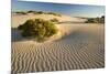 White Dunes-null-Mounted Photographic Print