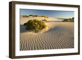 White Dunes-null-Framed Photographic Print