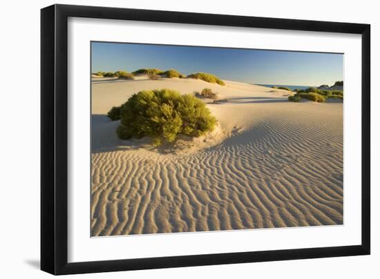 White Dunes-null-Framed Photographic Print