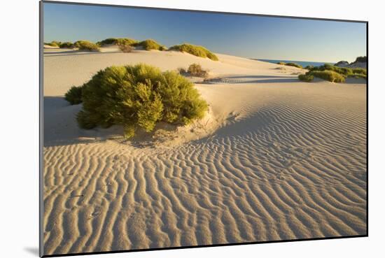 White Dunes-null-Mounted Photographic Print
