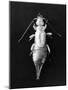 White Earwig-null-Mounted Photographic Print