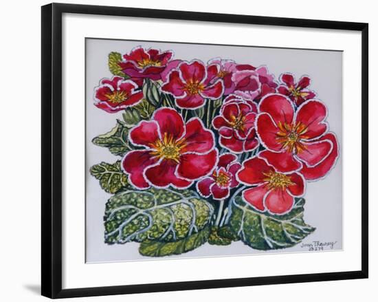 White Edged Primroses 2012-Joan Thewsey-Framed Giclee Print