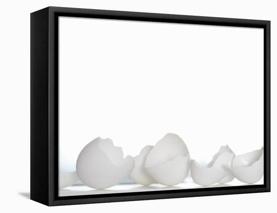 White Egg Shells-Martina Schindler-Framed Stretched Canvas