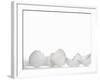 White Egg Shells-Martina Schindler-Framed Photographic Print