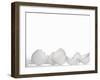 White Egg Shells-Martina Schindler-Framed Photographic Print
